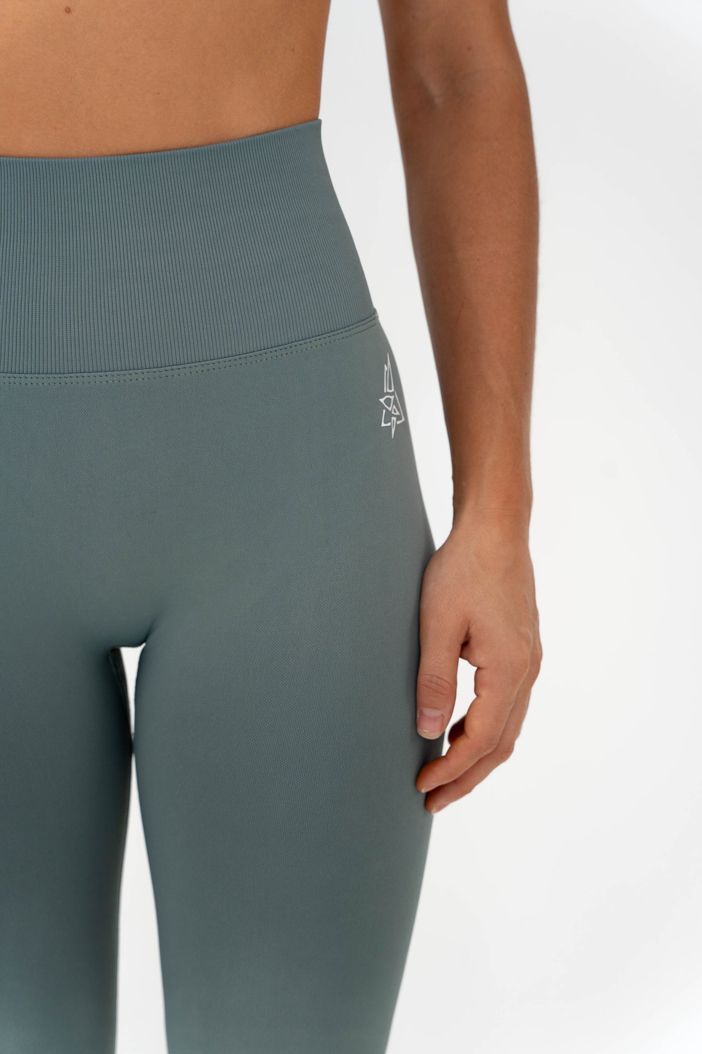 Endless Pump Full Length Tights - Sage