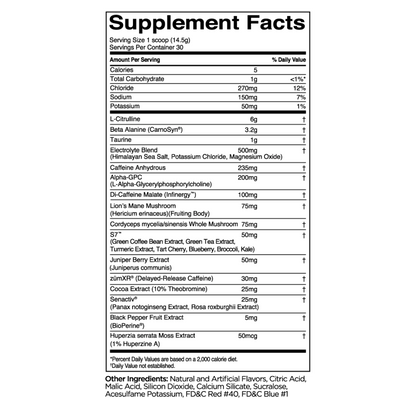 Rule 1 - Pre Lift 30 Servings